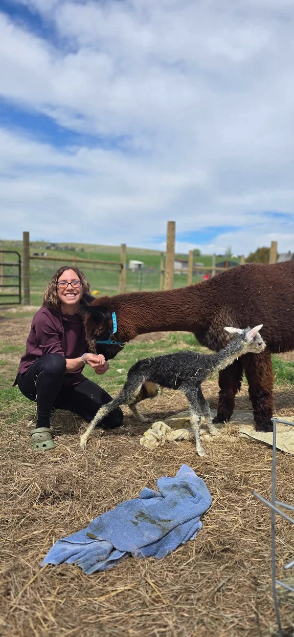 Stephanie smiling beside the first cria she produced, with an adult alpaca close by